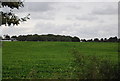 Farmland by Nacton Rd