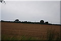 Ploughed field by Nacton Rd