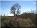 The path to Corbridge