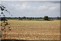 Stubble field, Ham Farm