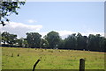 Farmland north of Dunsfold Aerodrome