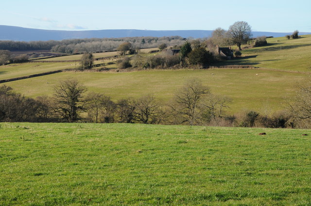 Meadows Farm