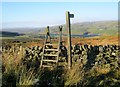 NY9522 : Ladder stile for footpath from minor road in Lunedale by peter robinson