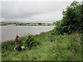 River Foyle