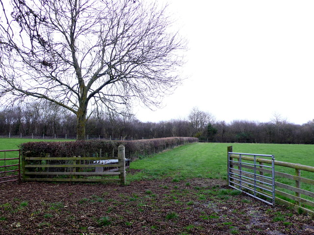 Field Gate near Harbury