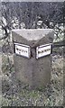 Boundary Stone between Walton and Bickerton