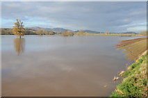 SO8544 : Flooded farmland by Philip Halling