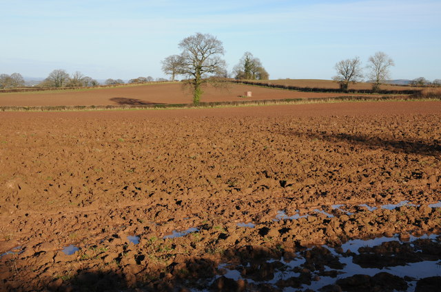 Arable fields at Bagwyllydiart