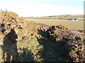 Stairhaven Coastal Path