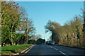 Entering Danbury on the Main Road