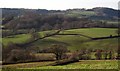 Countryside west of Shute