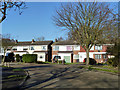 Houses on Ashley Green, East Hanningfield