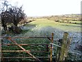 Farm land below the New Line road