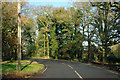 Bend on East Hanningfield Road