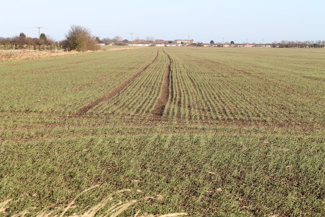 Fields off Mile Lane