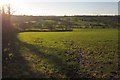 Field by the Corry Brook