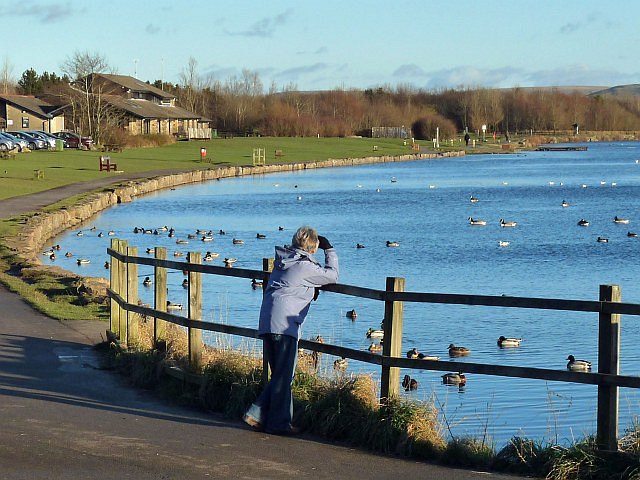 Watching ducks on Bryn Bach Park Lake