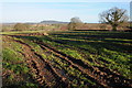 SO4529 : Farmland at New House Farm by Philip Halling