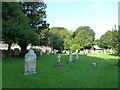 St Christopher, Winfrith Newburgh: churchyard (c)