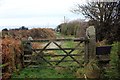 SJ2858 : Stile and Gate at Waen y Llyn Country Park by Jeff Buck