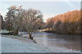 Frozen lake in morning sunlight, Stoke by Nayland Golf Club