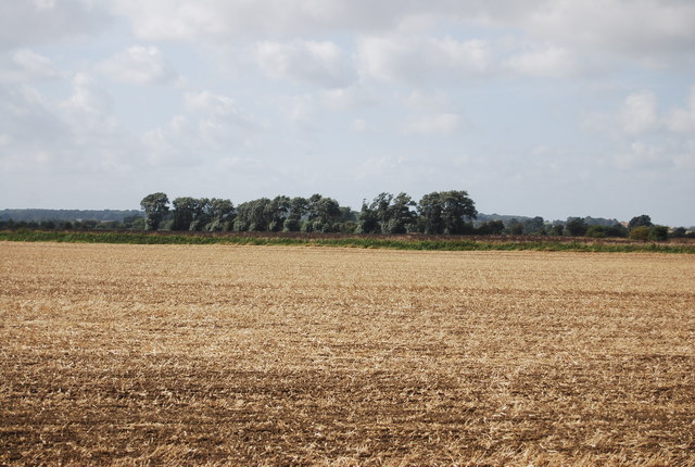 Farmland, Romney Marshes