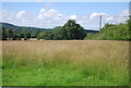 Grassland, Hall Place