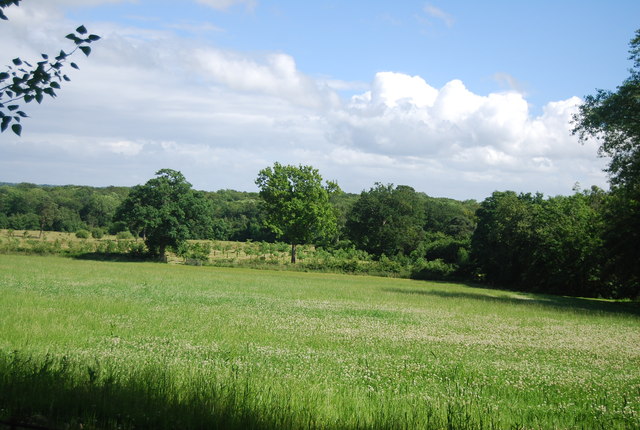 Farmland, Hall Place Farm