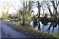 Pond near Lower Farm