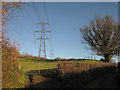 Field and pylons on Horner Hill