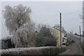 Hoar frost on Linton ridge