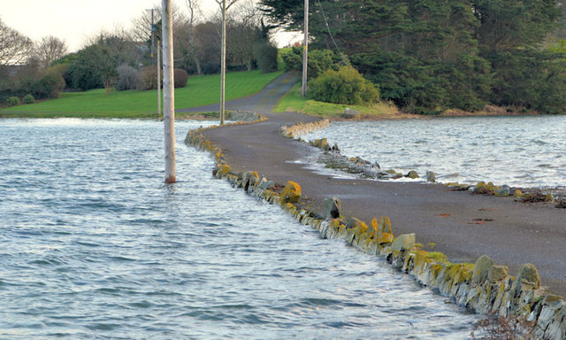 The causeway to Cross Island, Strangford Lough (2)