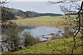 Faldonside Loch