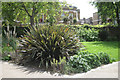 New Zealand Flax, Bernie Spain Gardens