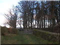 Entrance to woodland north of Dodd Hill