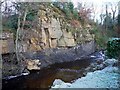 Rowley Burn at Blackhall Mill