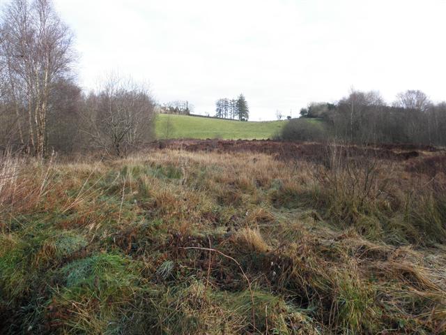 Bog, Skreen © Kenneth Allen cc-by-sa/2.0 :: Geograph Ireland