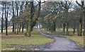 The road into Knowsley Park from Paddock Lodge