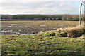 Start of Footpath to Upton Grove Farm