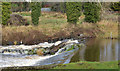 The River Lagan at Donaghcloney (3)