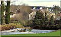 The River Lagan at Donaghcloney (4)