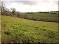 Sheep pasture near Mount House School