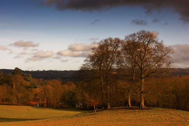 Gatton Park