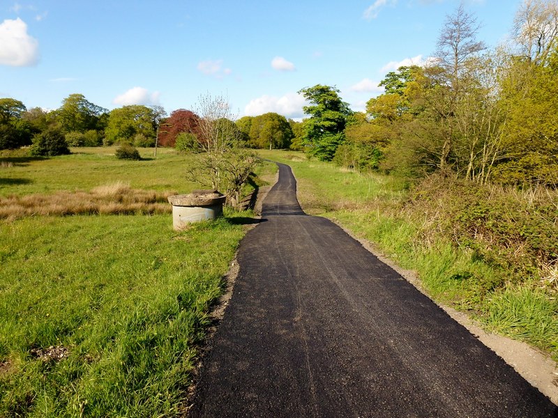 guild-wheel-cycle-route-during-rude-health-cc-by-sa-2-0