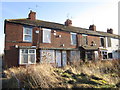 TA0628 : Whitby Grove off Rhodes Street, Hull by Ian S