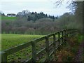 View south from footpath near Wykehurst Farm