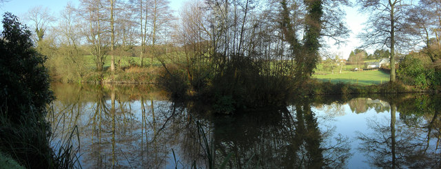 View across small pond in the Donheads
