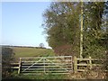 Arable farmland off Foxes Lane