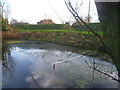 Pond approaching Chelsfield