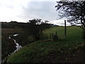 Looking up the burn to Burnside Farm